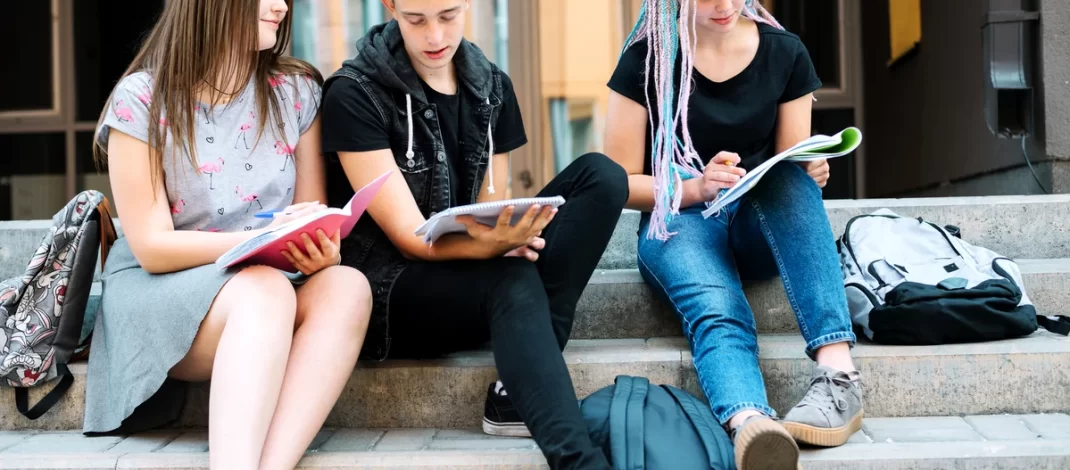 Se știe metodologia acordării Burselor sociale pentru studenți!